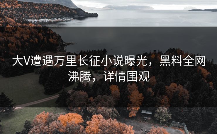 大V遭遇万里长征小说曝光，黑料全网沸腾，详情围观