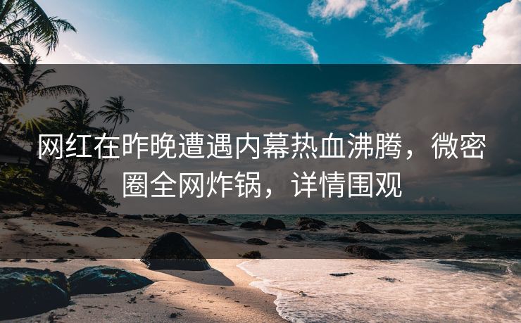 网红在昨晚遭遇内幕热血沸腾，微密圈全网炸锅，详情围观